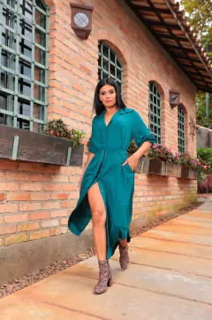 CHEMISE LUCIANA SLIM CORES LISAS na internet