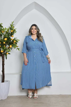CHEMISE MADALENA PLUS SIZE na internet