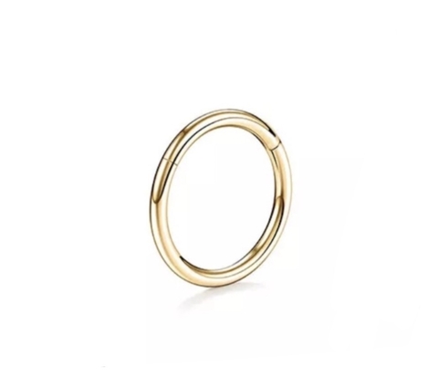 Segmento aço cirúrgico 6mm x 1.2 (PVD gold)