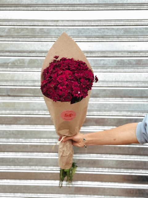 Fardo Vicente Bordo - comprar online