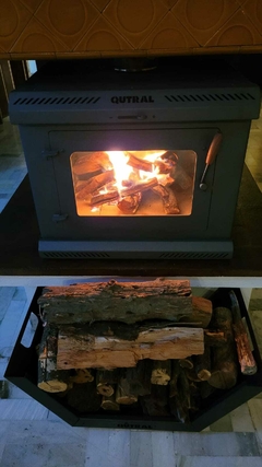 PATAGONICA 15 INSERTABLE en internet