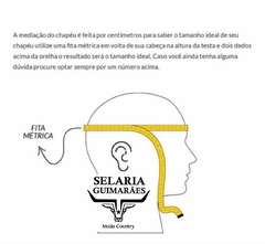 CHAPÉU COWBOY SOCIAL COUNTRY LÃ IMPORTADA ABA 10 CHOCOLATE - comprar online