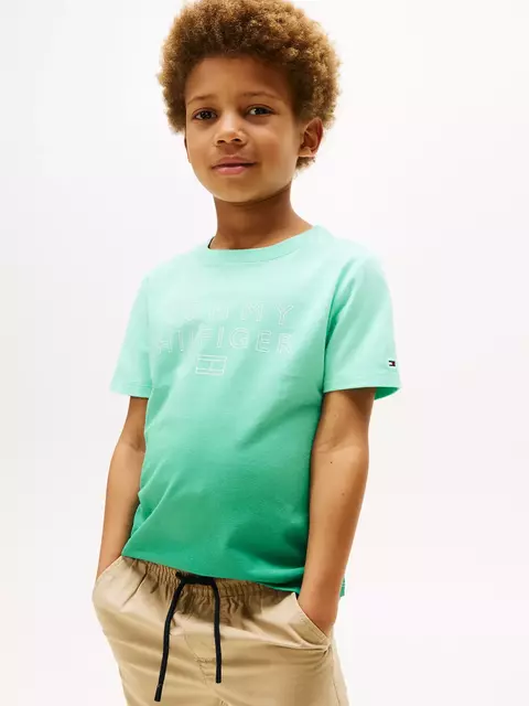CAMISETA TOMMY HILFIGER DEGRADE VERDE