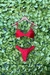 Vermelho Calcinha Asa Delta + Top Fixo - Ana Lu Biquínis