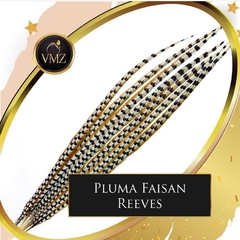 Faisan Revees ARTIFICIAL