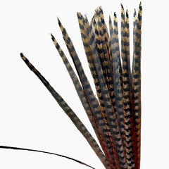 Faisan Revees ARTIFICIAL - comprar online