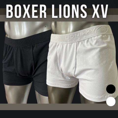 BOXER LIONS XV