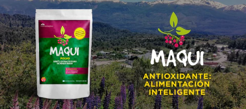 Carrusel maqui antioxidante