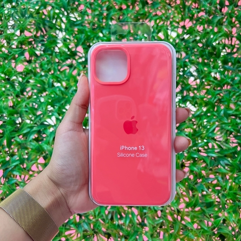Apple Coral 13 pro