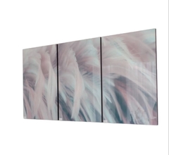 Conjunto quadros vidro pena