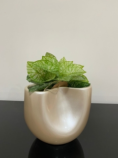 Vaso Cachepot - comprar online