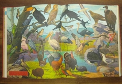 Enciclopédia Conhecer Ilustrada, 1968 - Sebo Raridades
