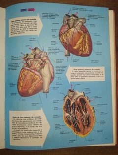 Imagem do Enciclopédia Conhecer Ilustrada, 1968