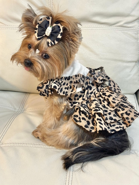 Vestido Babados Oncinha para cachorro e gato - comprar online