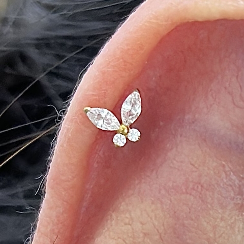 Borboleta em Titânio