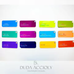 Kit 12 cartelas de cores - comprar online