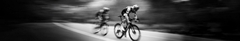 Banner de la categorÃa Madone