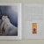 Livro Diário de Bordo de Noé na internet