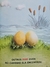 Livro Um Amor de Confusão - 3°edição, 2019 Moderna - loja online