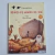Livro Diário de Bordo de Noé