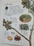 Livro Árvores - Coleção Aventura Visual DK Capa Comum (Globo) - ReConto Livraria