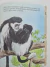Livro Um Dia na Floresta - Coleção Dourada na internet