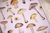 Cartela Cogumelos #1 | Special Handmade Things - comprar online