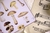 Cartela Cogumelos #1 | Special Handmade Things na internet