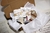 BOX SUPRESA | Pequena - comprar online