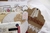 BOX SUPRESA | Pequena - loja online