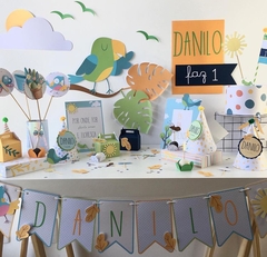 Pássaros do meu Quintal - comprar online