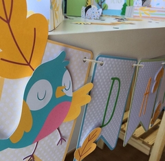 Pássaros do meu Quintal - comprar online