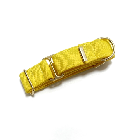 COLEIRA MARTINGALE - Yellow