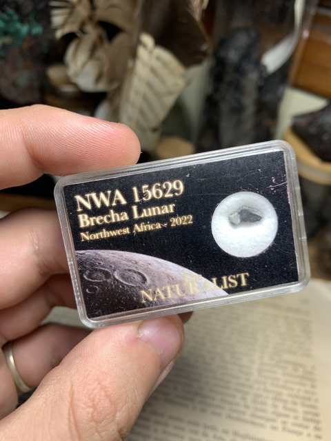 NWA 15629 - Meteorito Lunar - comprar online