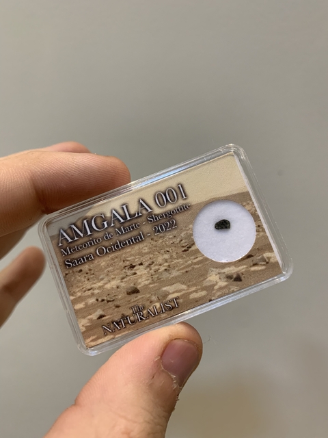 Meteorito de Marte - Amgala 001 - Ref 003 - comprar online