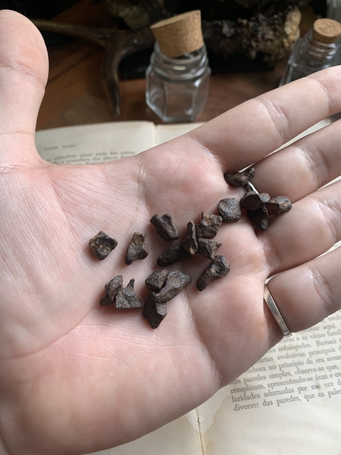 Meteorito Agoudal - Siderito do Marrocos