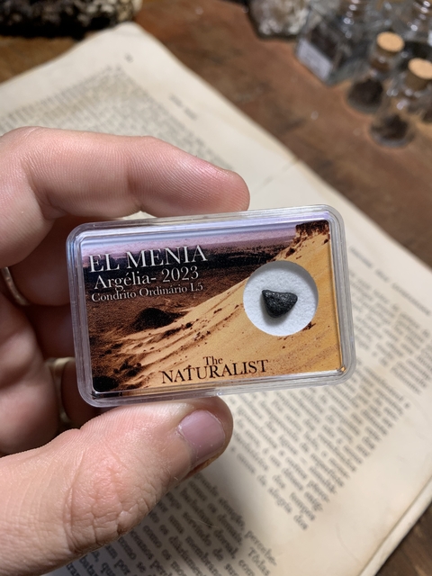 El Menia Ordinário L5 - REF 002