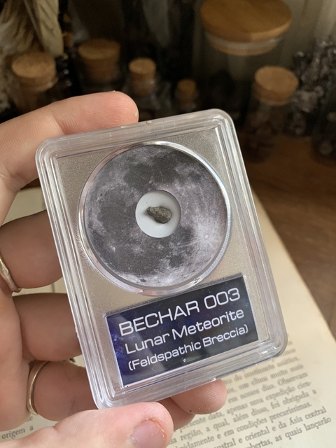 Bechar 003 - Argélia - Meteorito Lunar - REF003 - comprar online