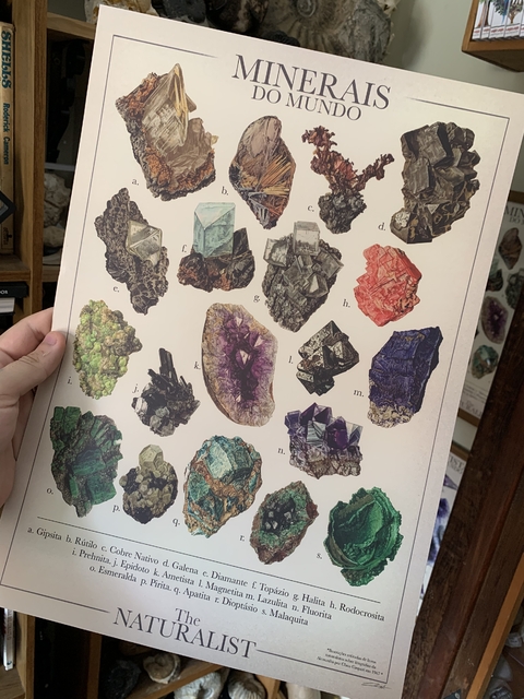 MINERAIS DO MUNDO - A3 - Claus Caspari