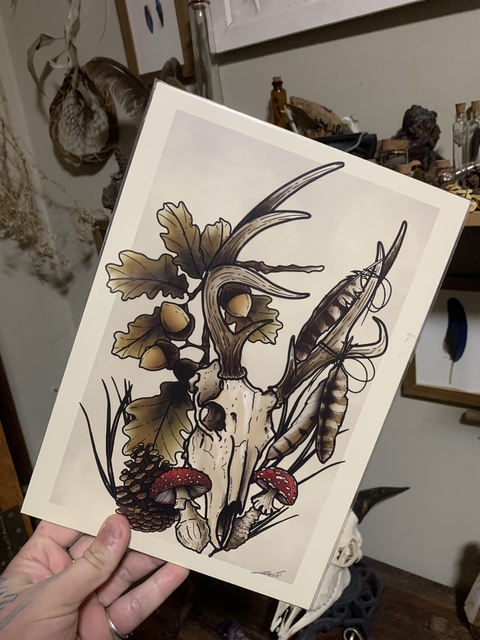 Print Crânio de cervo A4