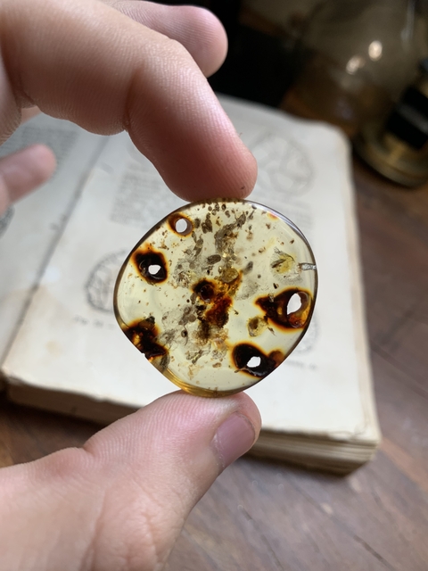 Âmbar Copal Polido com Insetos 5.1 g - Colômbia REF112