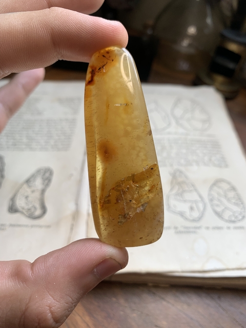 Âmbar Copal Polido com cupins 15.8 g - Colômbia REF127