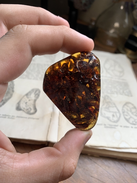 Âmbar Copal Polido com cupins 21.5 g - Colômbia REF128