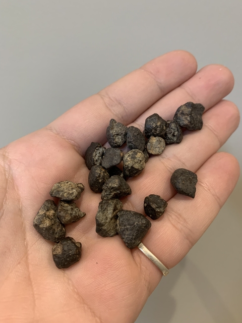 Condrito NWA 869 Maiores - Amostra Sortida - comprar online