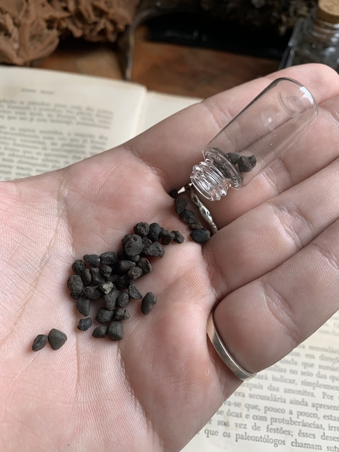 Micrometeorito Chelyabinsk Sortido - 1 unidade