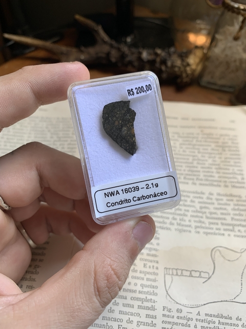 NWA 16039 CV3 - 2.1 g - ref006