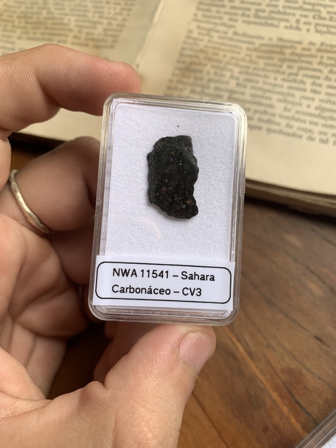 Condrito Carbonáceo CV3 Cortado - Ref008