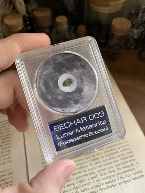 Bechar 003 - Argélia - Meteorito Lunar - REF004 - comprar online