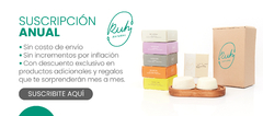 Banner de la categoría Suscripción
