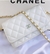 CHANEL WOC na internet